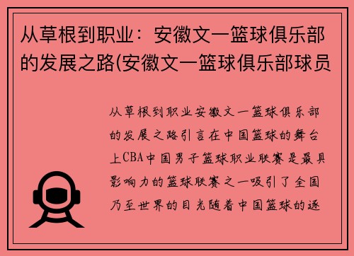 从草根到职业：安徽文一篮球俱乐部的发展之路(安徽文一篮球俱乐部球员名单)