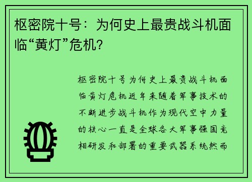 枢密院十号：为何史上最贵战斗机面临“黄灯”危机？